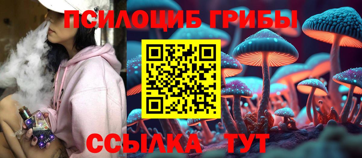 Галлюциногенные грибы мицелий  купить  сайты  Вход с VPN  Подольск  Псилоцибиновые грибы мицелий 