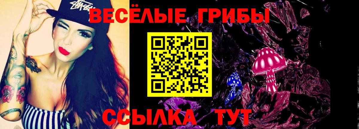 Галлюциногенные грибы GOLDEN TEACHER Подольск